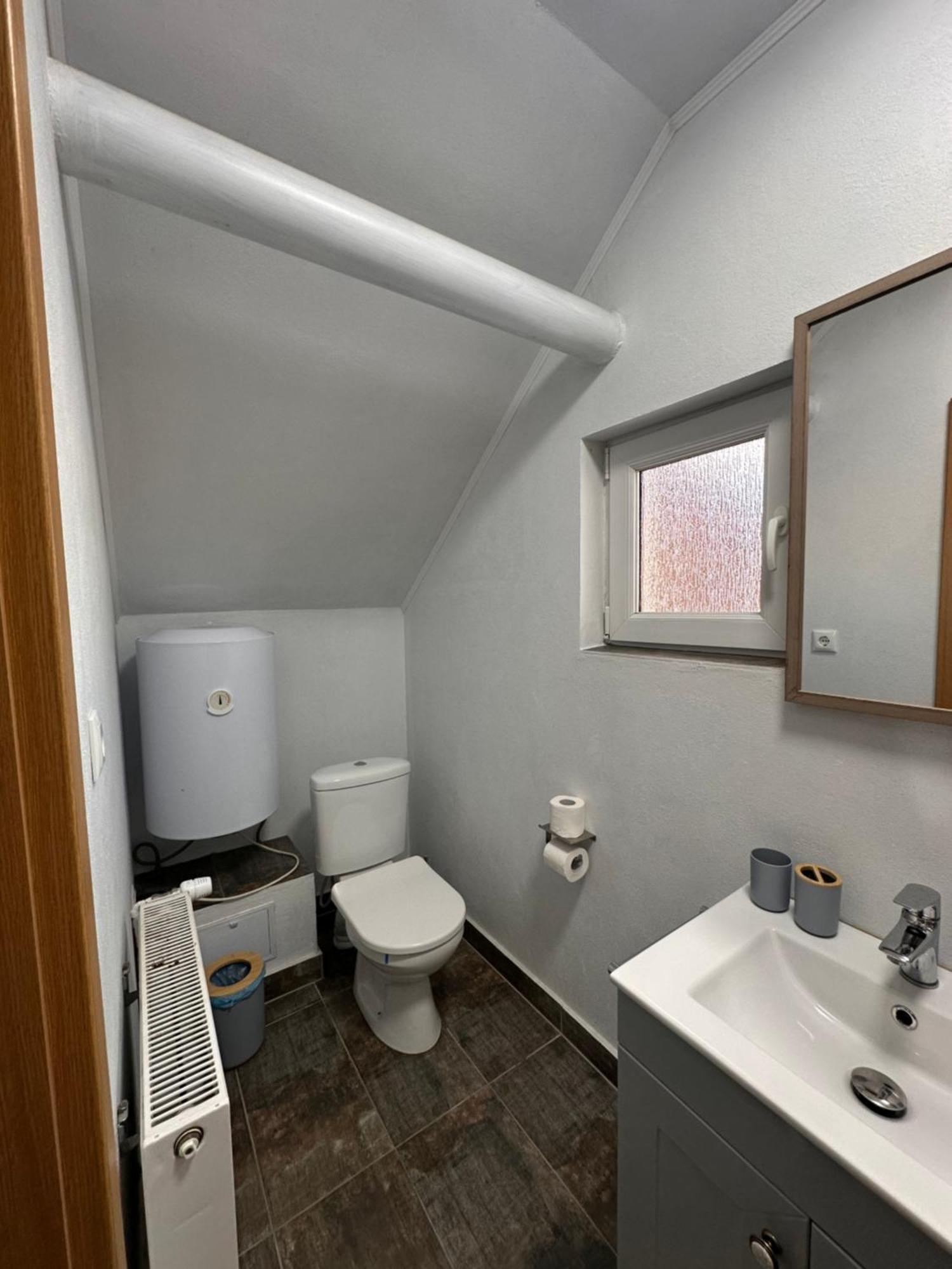 Red Family Apartments Păltiniş Dış mekan fotoğraf