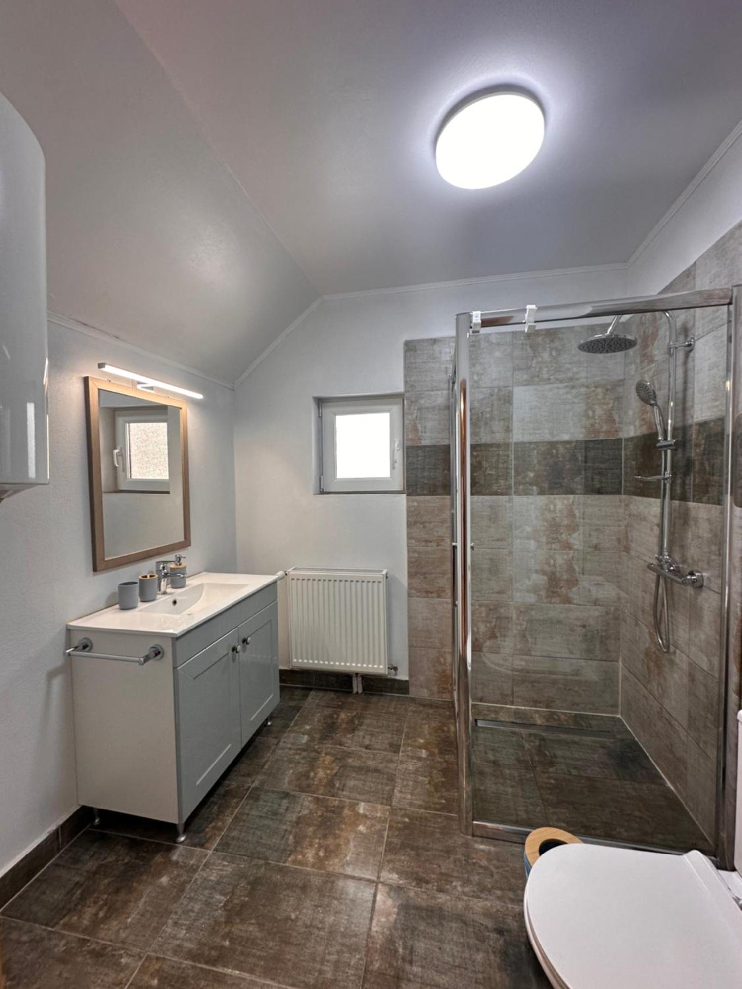 Red Family Apartments Păltiniş Dış mekan fotoğraf